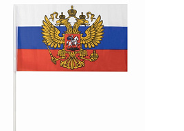 Флаг Россия 30*45 с гербом